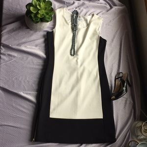 CK Black & White Zipper Dress